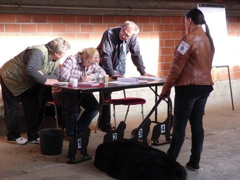121021_25_b_klubsiegerschau_alsfeld.jpg