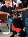 121021_06_b_klubsiegerschau_alsfeld.jpg