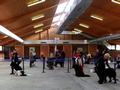 121021_30_b_klubsiegerschau_alsfeld.jpg