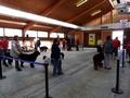 121021_31_b_klubsiegerschau_alsfeld.jpg