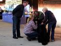 121021_42_b_klubsiegerschau_alsfeld.jpg