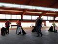 121021_49_b_klubsiegerschau_alsfeld.jpg