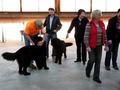 121021_53_b_klubsiegerschau_alsfeld.jpg