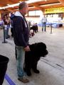 121021_78_b_klubsiegerschau_alsfeld.jpg